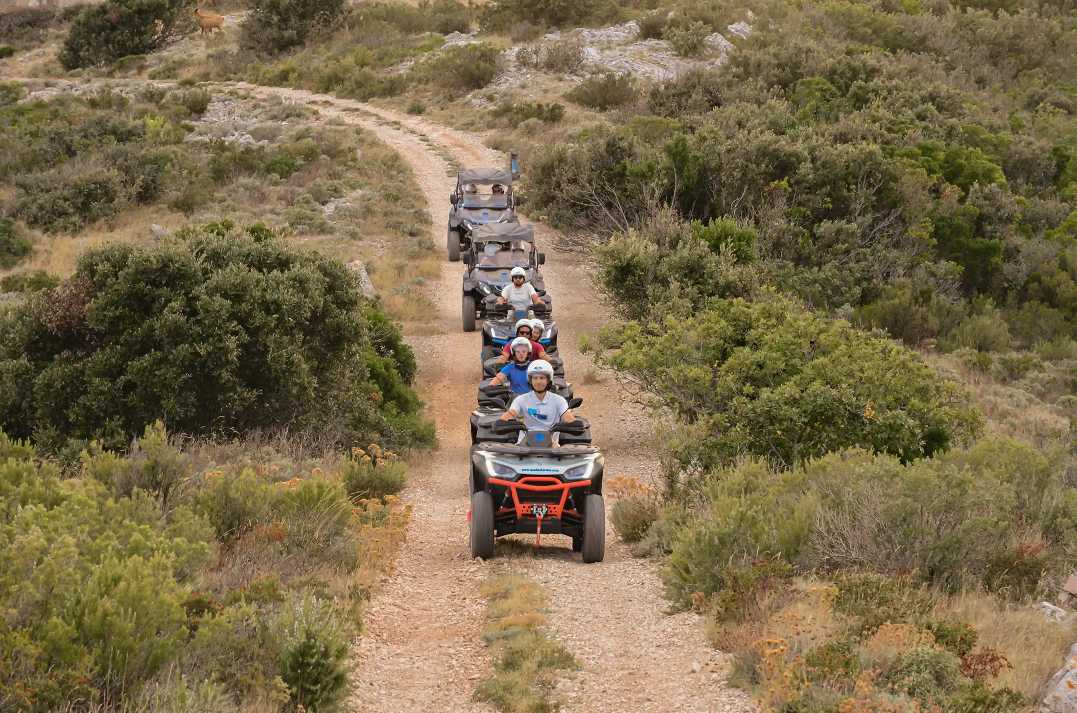 Adrenalice Quad Safari Vis